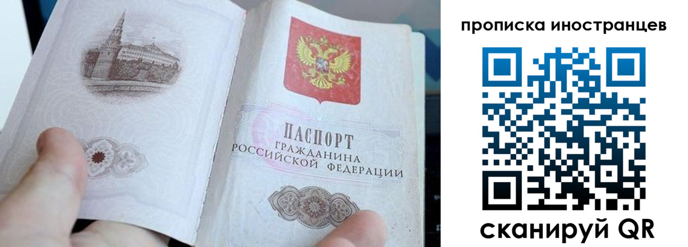 прописка поиск в Куртамыше